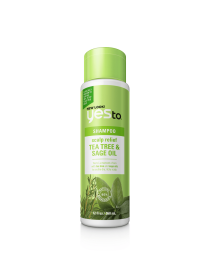 YES TO SHAMP SCLP TEA TR ( 3 X 12 OZ   )