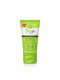 YES TO TEA TREE SCLP SCB ( 1 X 6 OZ   )